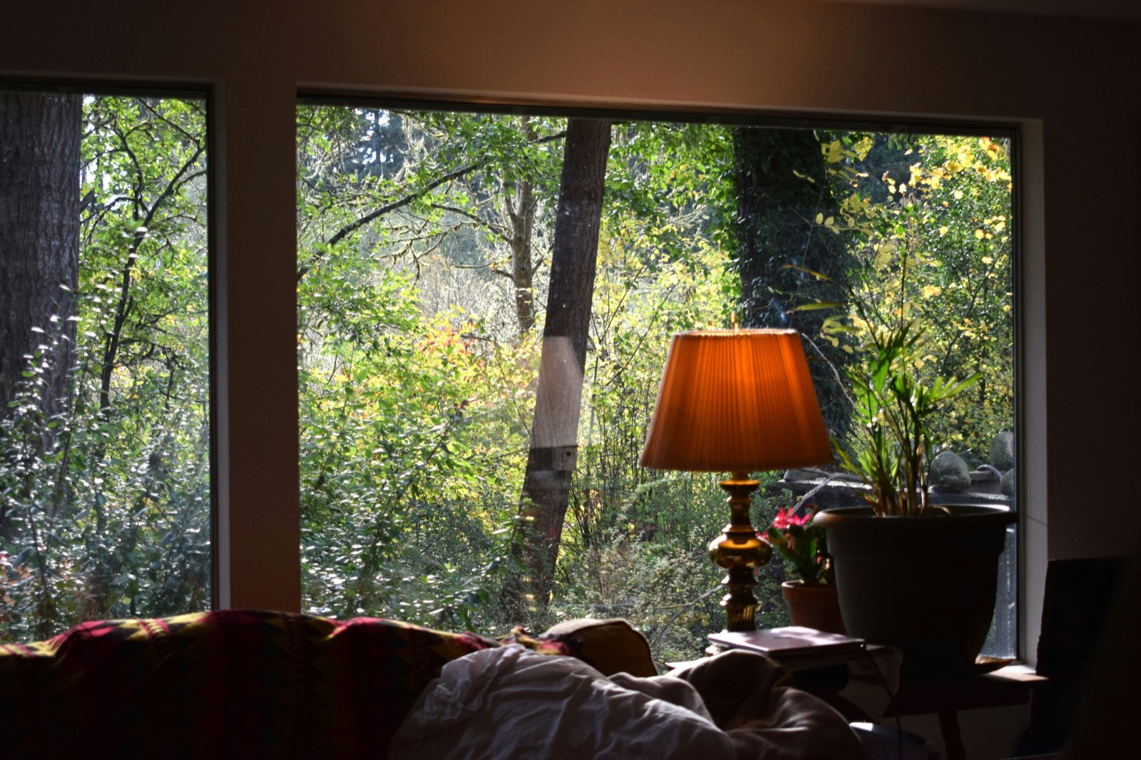 Lamp by a window looking into trees